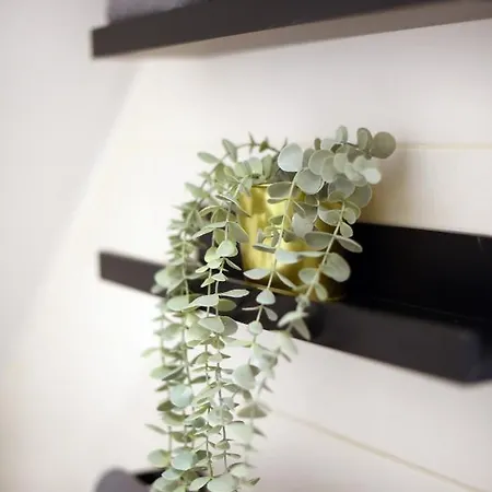 L&r Luxury Apartment- Free Parking