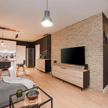 L&r Luxury Apartment- Free Parking Apartment